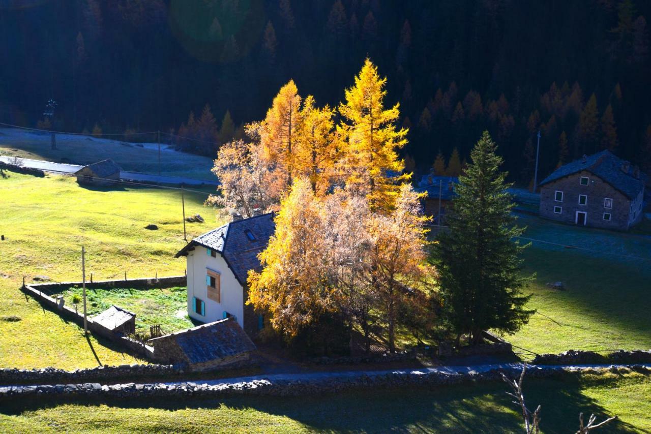 Il Cortese Chiareggio Екстер'єр фото