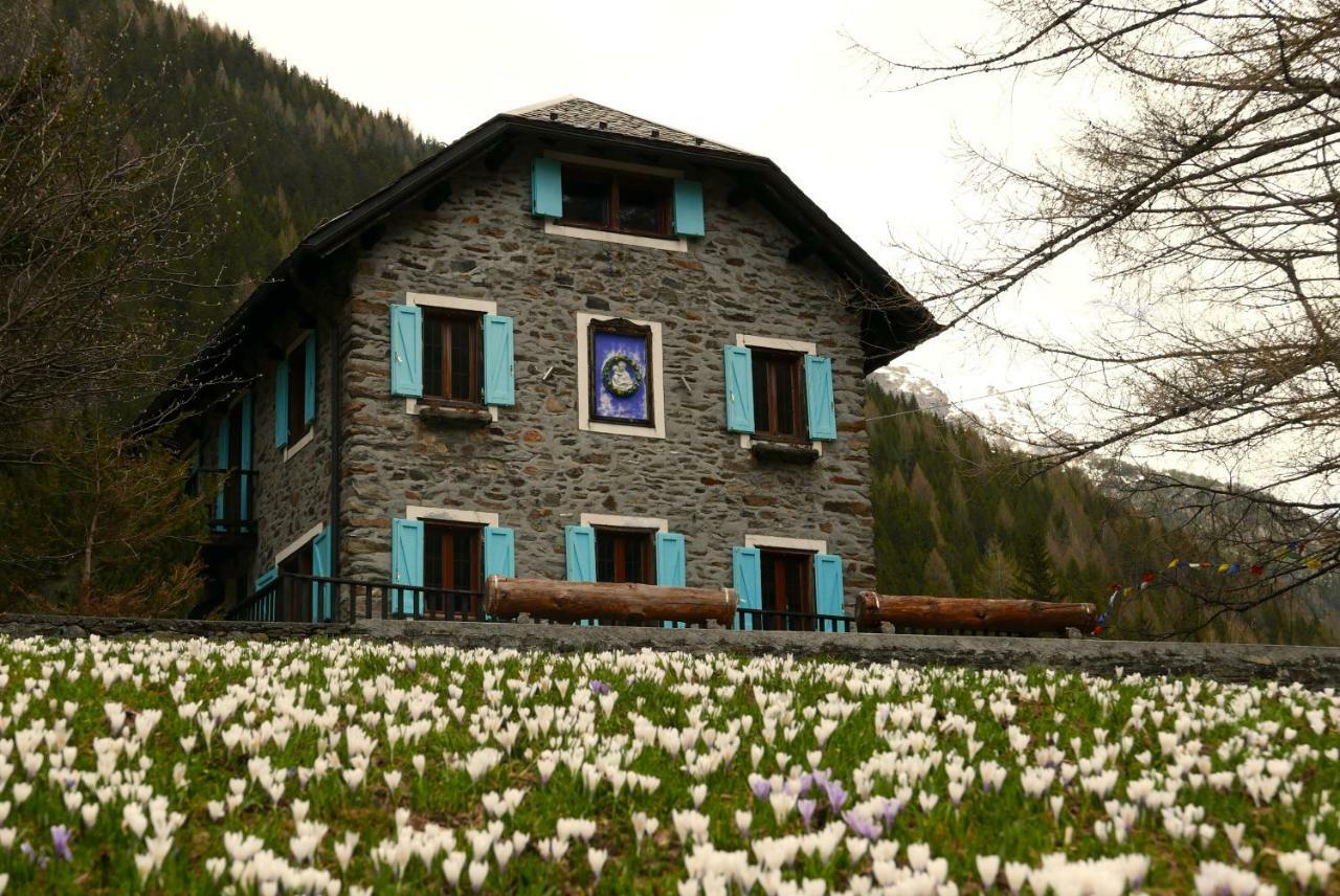 Il Cortese Chiareggio Екстер'єр фото